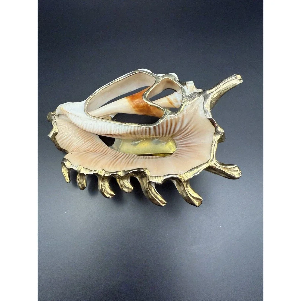 women belt buckle , Cronch. Ocean And Shell Theme. Accessory To Beautify A Belt.
